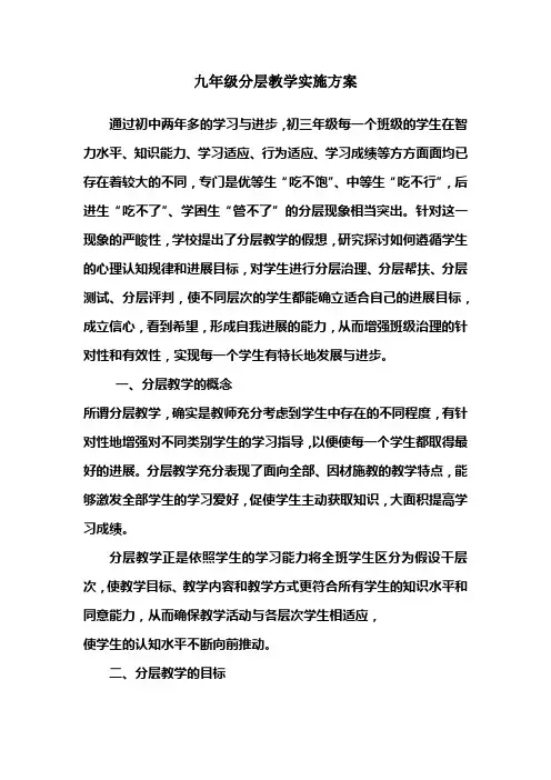 九年级分层教学实施方案