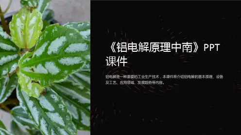 《铝电解原理中南》课件