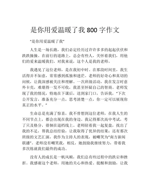 是你用爱温暖了我800字作文