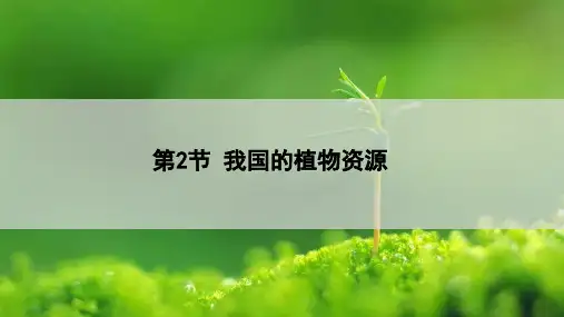 《我国的植物资源》PPT课件【优质】