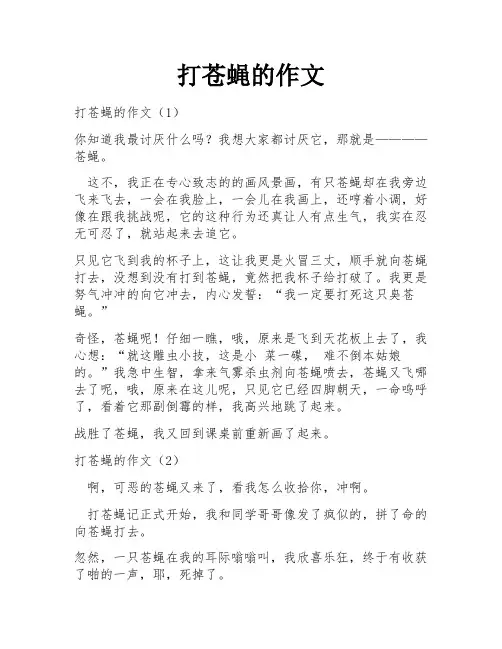 打苍蝇的作文