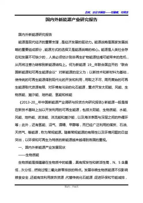 国内外新能源产业研究报告