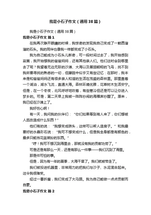 我是小石子作文（通用38篇）