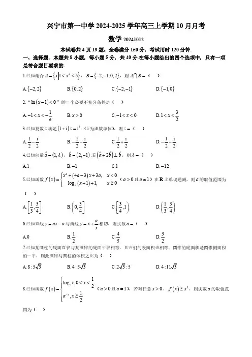 广东省兴宁市第一中学2024-2025学年高三上学期10月月考数学试题(含解析)