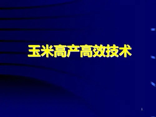 玉米高产高效栽培技术PPT课件