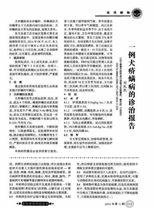 一例犬疥螨病的诊治报告