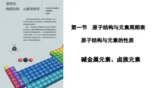 碱金属元素卤族元素课件高一上学期化学人教版