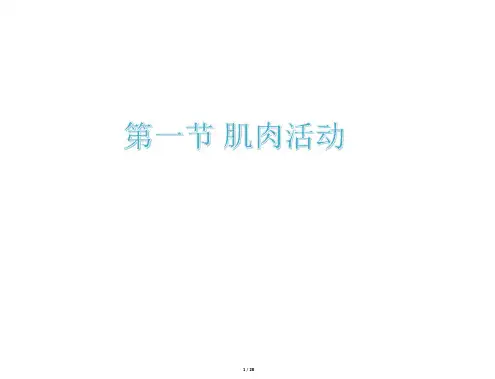 王步标运动生理学 第一章 肌肉与运动