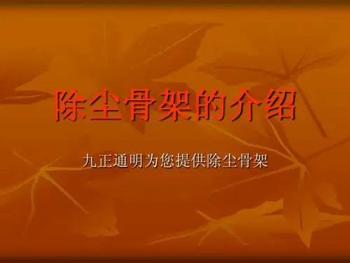 除尘骨架演示文