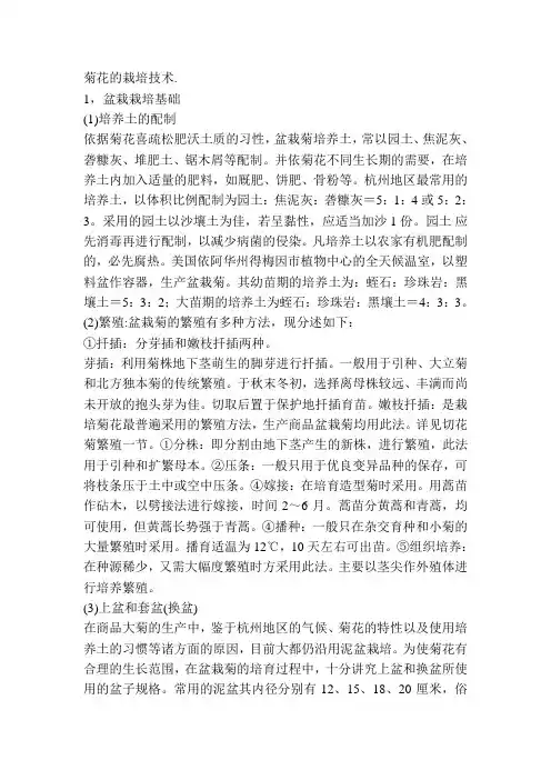菊花的栽培技术
