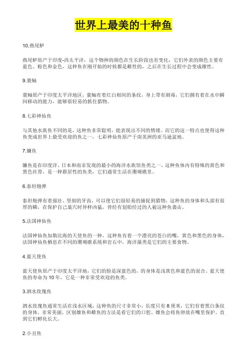 海底世界最美的十种鱼