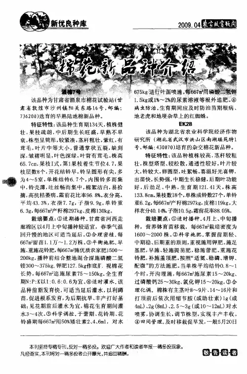 棉花新品种介绍