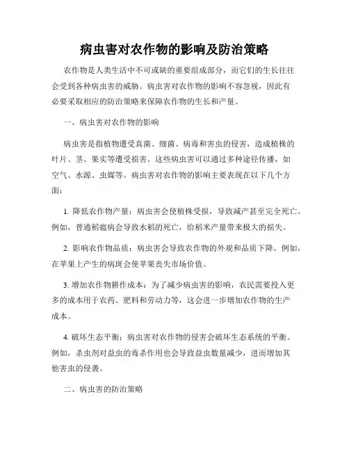 病虫害对农作物的影响及防治策略