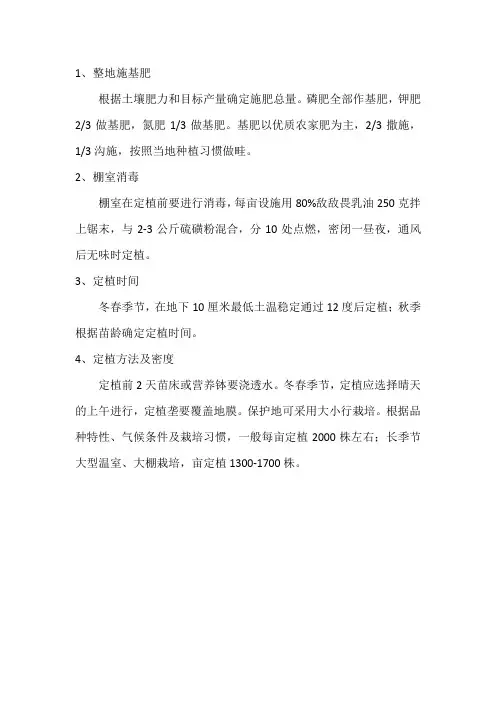 西葫芦定植前准备与管理