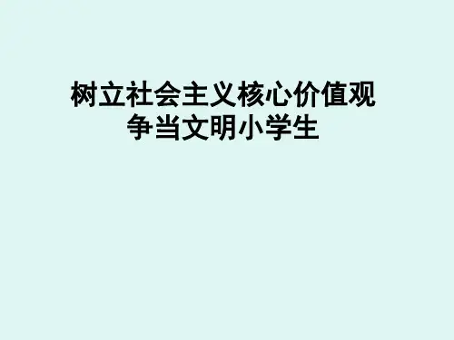 社会主义核心价值观图解演示文稿