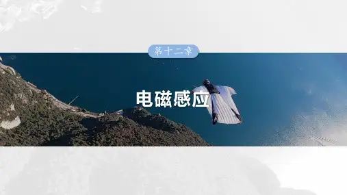 2025高考物理总复习动量观点在电磁感应中的应用
