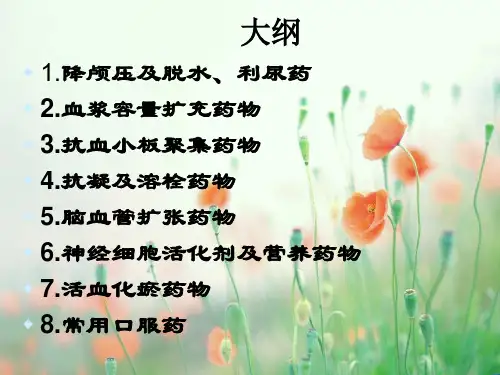 常用药物注意事项ppt课件
