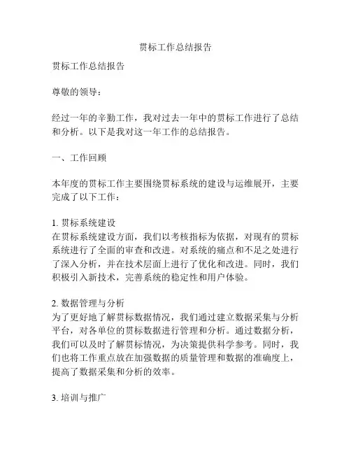 贯标工作总结报告