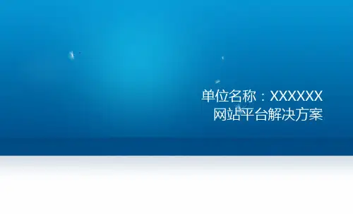 网站平台建设方案-模板PPT课件