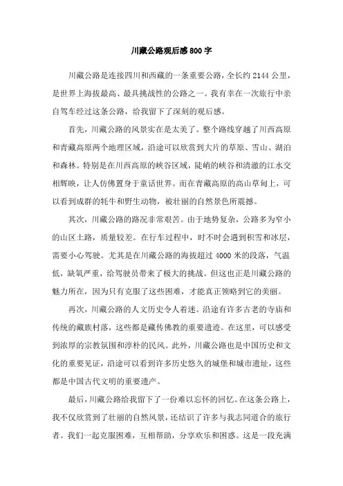 川藏公路观后感800字