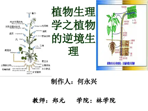 植物生理之逆境生理