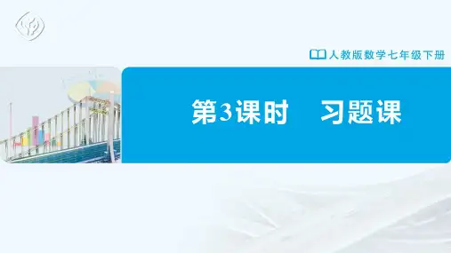七年级-人教版-数学-下册-第3课时-习题课