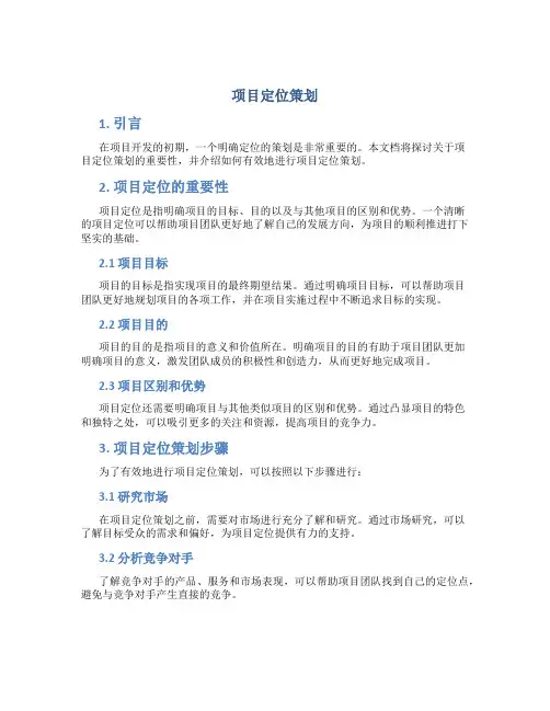 项目定位策划