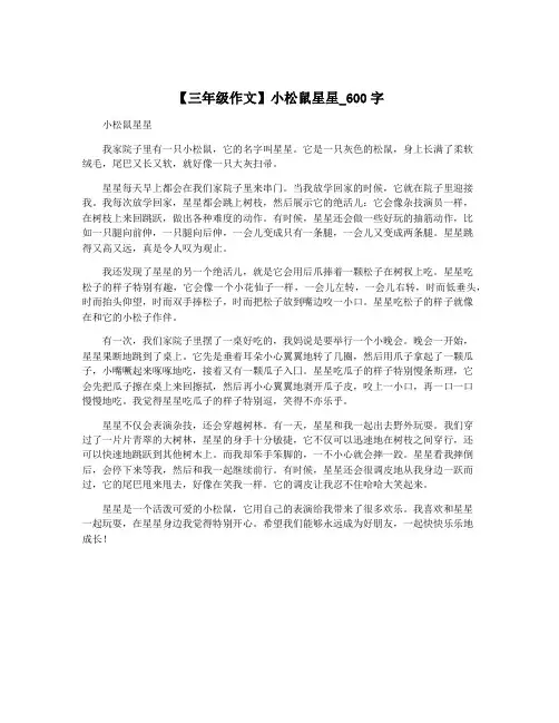 【三年级作文】小松鼠星星_600字