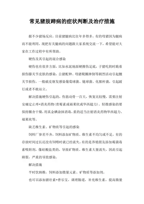 常见猪肢蹄病症状判断及治疗措施