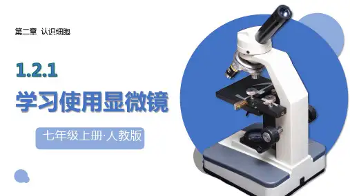 1.2.1 学习使用显微镜(第一课时)七年级生物上册课件(人教版2024)