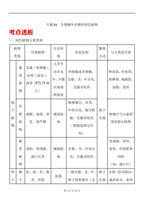 中考生物核心考点解析卷-专题04 生物圈中有哪些绿色植物