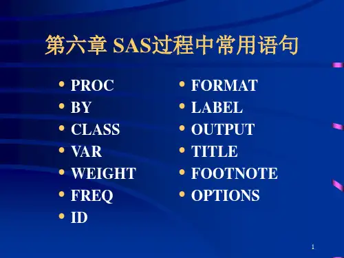 第六章SAS过程中常用语句