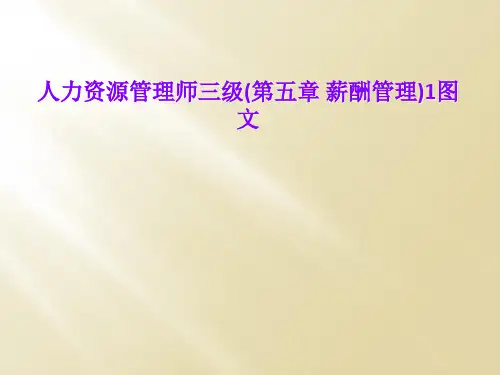 人力资源管理师三级(第五章 薪酬管理)1图文