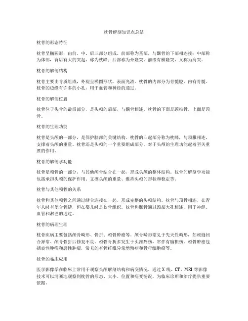 枕骨解剖知识点总结