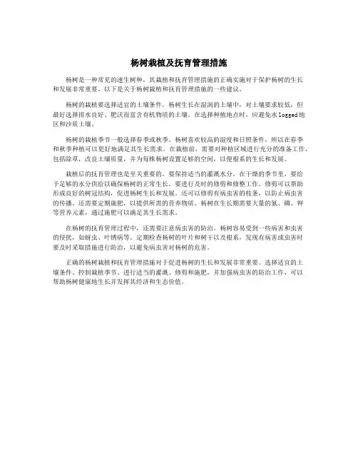 杨树栽植及抚育管理措施