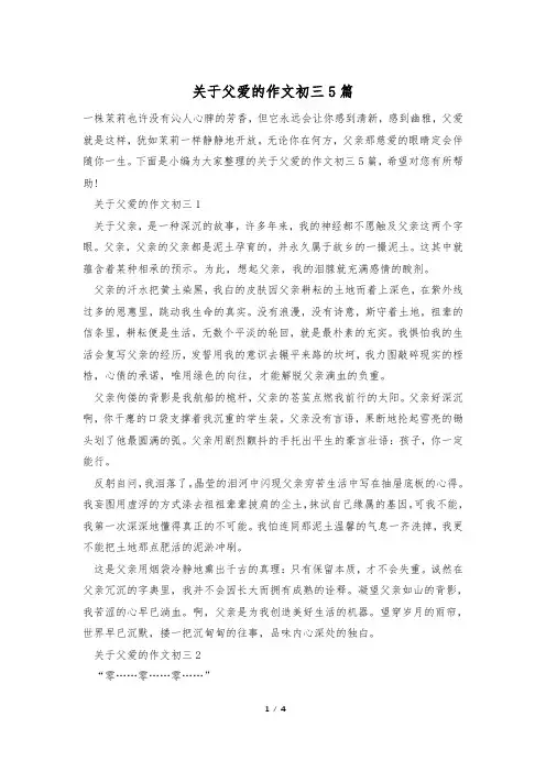 关于父爱的作文初三5篇