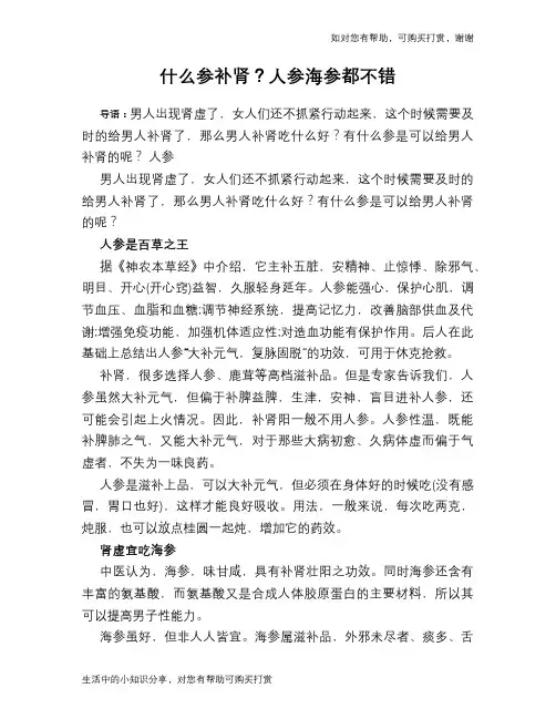 什么参补肾？人参海参都不错