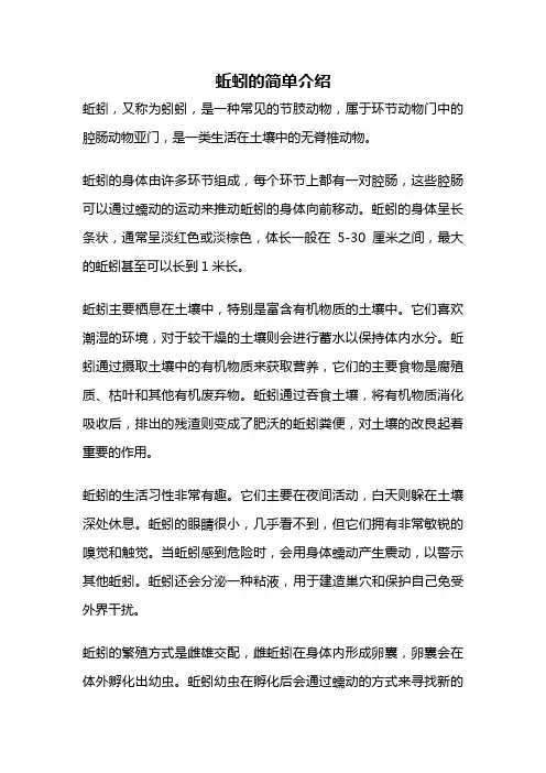 蚯蚓的简单介绍
