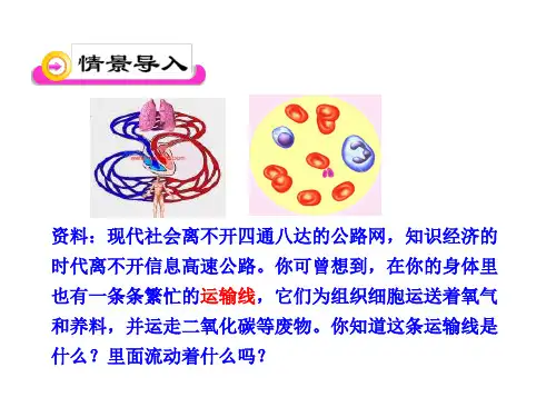 血液和血型