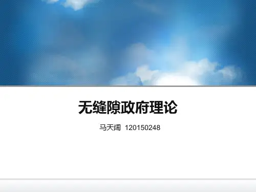 无缝隙政府理论可编辑全文
