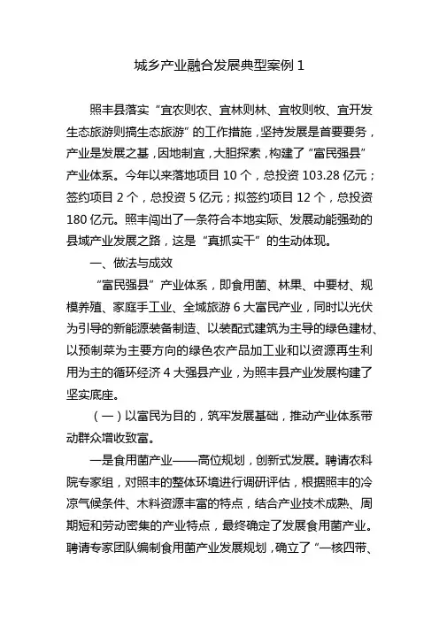 城乡产业融合发展典型案例1