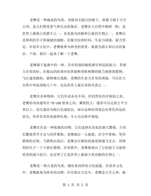 老鹰的初中作文范文