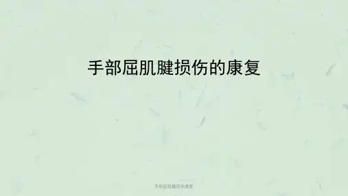手部屈肌腱损伤康复课件
