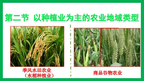 以种植业为主的农业地域类型(公开课)PPT课件
