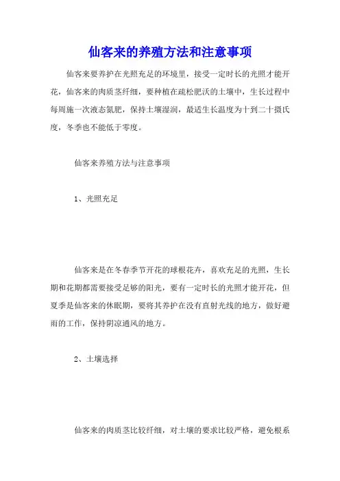 仙客来的养殖方法和注意事项