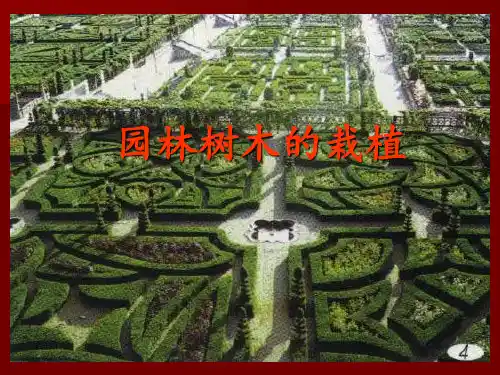 主要园林树木的栽植技术