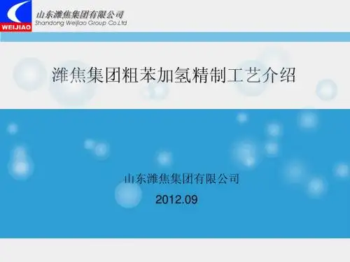 粗苯加氢介绍