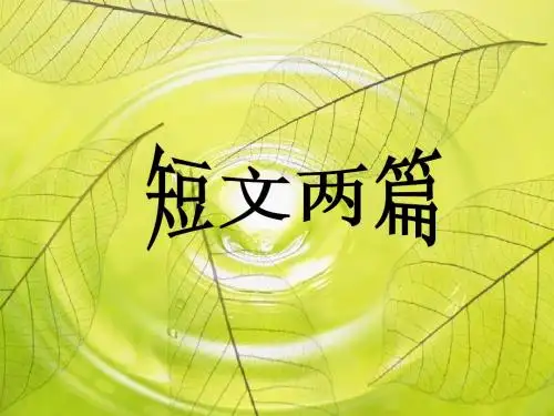 湘教版三年级语文上册  16 短文两篇