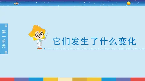 新教科版三年级上册科学8《它们发生了什么变化》教学课件