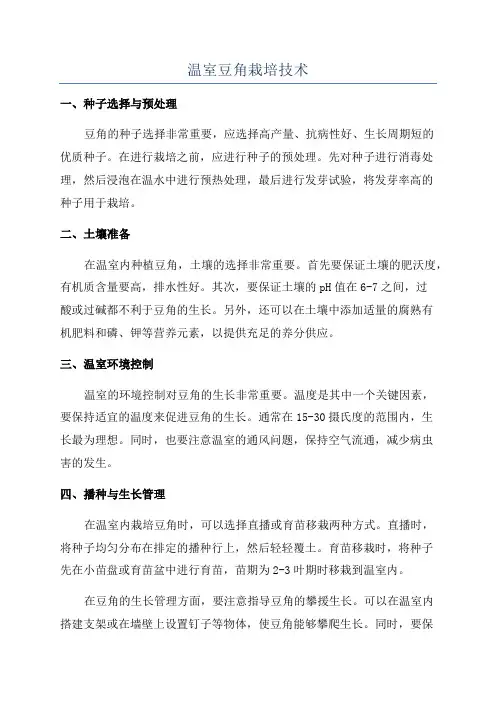 温室豆角栽培技术